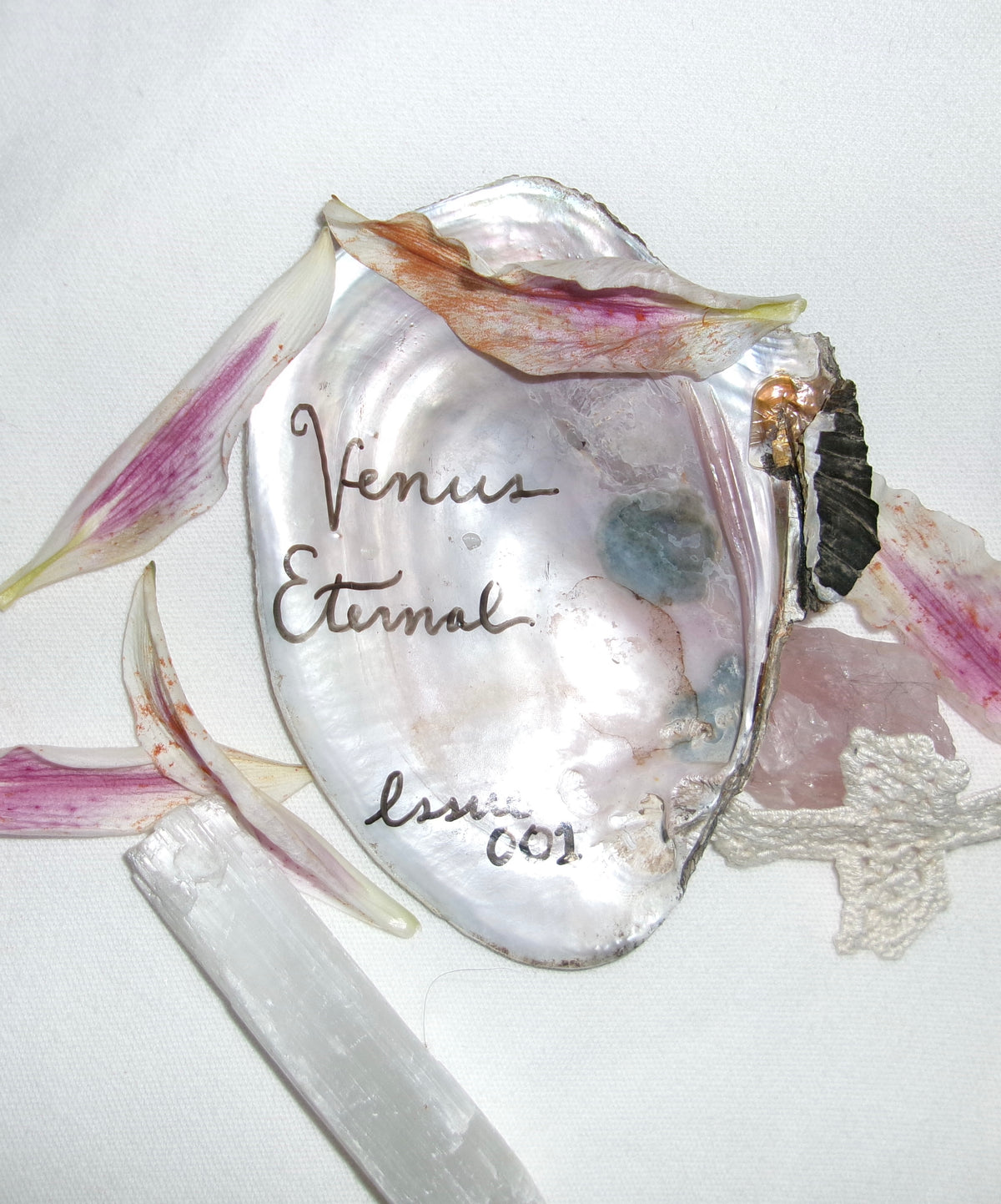 Venus Eternal Issue 001. (Digital Copy)